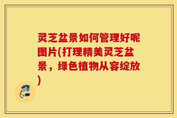 灵芝盆景如何管理好呢图片(打理精美灵芝盆景,绿色植物从容绽放)-第1张图片-灵芝之家 灵芝盆景如何管理好呢图片(打理精美灵芝盆景,绿色植物从容绽放)-第1张图片-灵芝之家