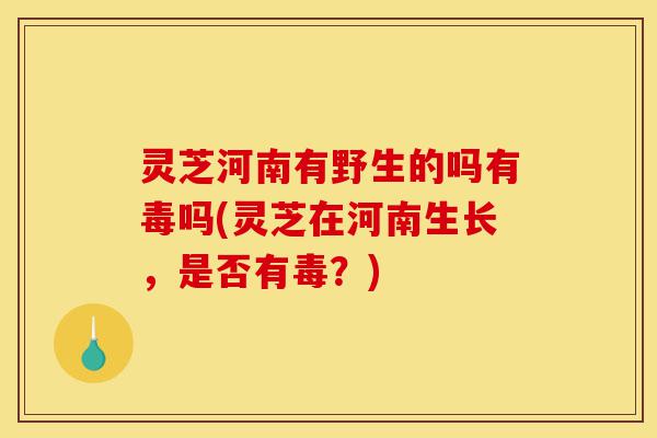 灵芝河南有野生的吗有毒吗(灵芝在河南生长,是否有毒?)-第1张图片-灵芝之家 灵芝河南有野生的吗有毒吗(灵芝在河南生长,是否有毒?)-第1张图片-灵芝之家