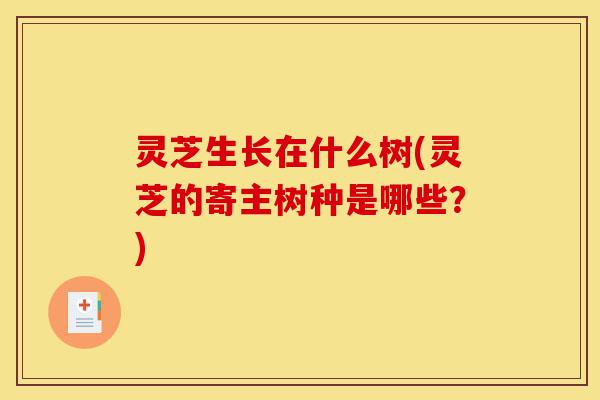 灵芝生长在什么树(灵芝的寄主树种是哪些?)-第1张图片-灵芝之家 灵芝生长在什么树(灵芝的寄主树种是哪些?)-第1张图片-灵芝之家