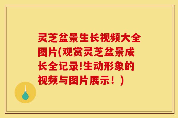 灵芝盆景生长视频大全图片(观赏灵芝盆景成长全记录!生动形象的视频与图片展示!)-第1张图片-灵芝之家 灵芝盆景生长视频大全图片(观赏灵芝盆景成长全记录!生动形象的视频与图片展示!)-第1张图片-灵芝之家