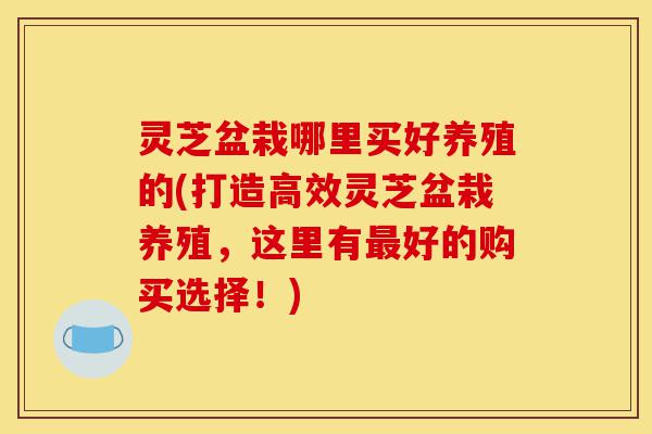 灵芝盆栽哪里买好养殖的(打造高效灵芝盆栽养殖,这里有最好的购买选择!)-第1张图片-灵芝之家 灵芝盆栽哪里买好养殖的(打造高效灵芝盆栽养殖,这里有最好的购买选择!)-第1张图片-灵芝之家