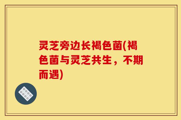灵芝旁边长褐色菌(褐色菌与灵芝共生，不期而遇)-第1张图片-灵芝之家