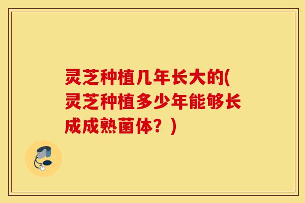 灵芝种植几年长大的(灵芝种植多少年能够长成成熟菌体?)-第1张图片-灵芝之家 灵芝种植几年长大的(灵芝种植多少年能够长成成熟菌体?)-第1张图片-灵芝之家