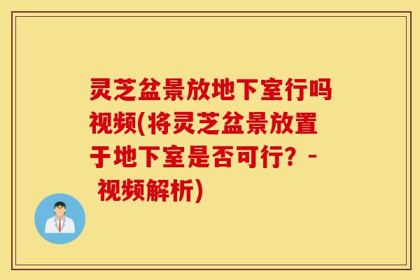 灵芝盆景放地下室行吗视频(将灵芝盆景放置于地下室是否可行?- 视频解析)-第1张图片-灵芝之家 灵芝盆景放地下室行吗视频(将灵芝盆景放置于地下室是否可行?- 视频解析)-第1张图片-灵芝之家