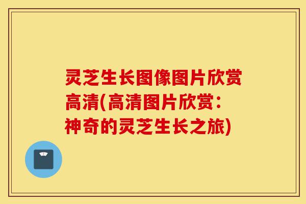 灵芝生长图像图片欣赏高清(高清图片欣赏:神奇的灵芝生长之旅)-第1张图片-灵芝之家 灵芝生长图像图片欣赏高清(高清图片欣赏:神奇的灵芝生长之旅)-第1张图片-灵芝之家