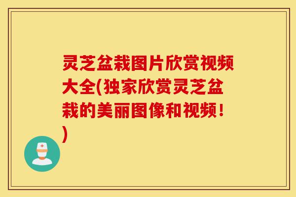 灵芝盆栽图片欣赏视频大全(独家欣赏灵芝盆栽的美丽图像和视频!)-第1张图片-灵芝之家 灵芝盆栽图片欣赏视频大全(独家欣赏灵芝盆栽的美丽图像和视频!)-第1张图片-灵芝之家