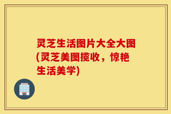 灵芝生活图片大全大图(灵芝美图揽收,惊艳生活美学)-第1张图片-灵芝之家 灵芝生活图片大全大图(灵芝美图揽收,惊艳生活美学)-第1张图片-灵芝之家