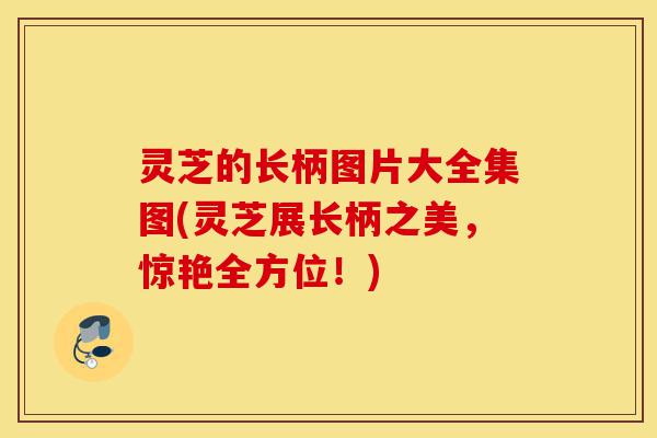 灵芝的长柄图片大全集图(灵芝展长柄之美,惊艳全方位!)-第1张图片-灵芝之家 灵芝的长柄图片大全集图(灵芝展长柄之美,惊艳全方位!)-第1张图片-灵芝之家