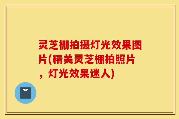 灵芝棚拍摄灯光效果图片(精美灵芝棚拍照片,灯光效果迷人)-第1张图片-灵芝之家 灵芝棚拍摄灯光效果图片(精美灵芝棚拍照片,灯光效果迷人)-第1张图片-灵芝之家