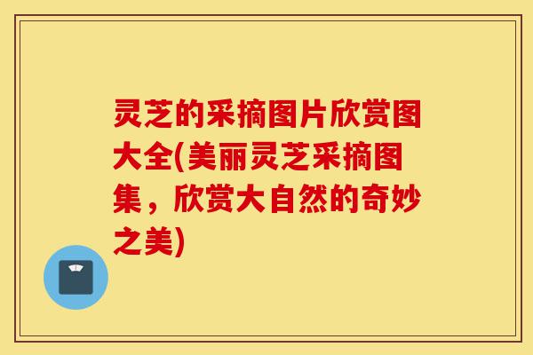 灵芝的采摘图片欣赏图大全(美丽灵芝采摘图集,欣赏大自然的奇妙之美)-第1张图片-灵芝之家 灵芝的采摘图片欣赏图大全(美丽灵芝采摘图集,欣赏大自然的奇妙之美)-第1张图片-灵芝之家
