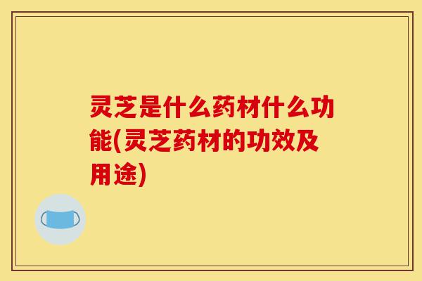 灵芝是什么药材什么功能(灵芝药材的功效及用途)-第1张图片-灵芝之家 灵芝是什么药材什么功能(灵芝药材的功效及用途)-第1张图片-灵芝之家
