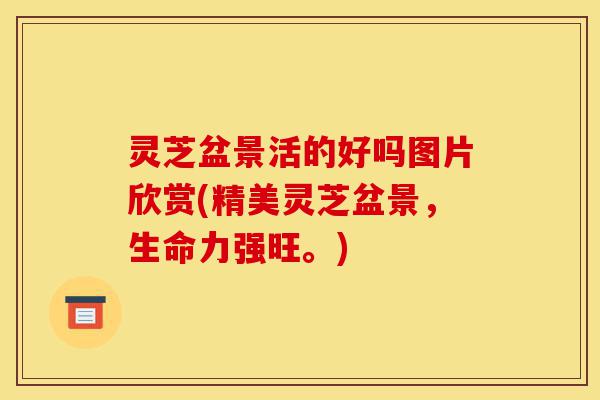 灵芝盆景活的好吗图片欣赏(精美灵芝盆景,生命力强旺。)-第1张图片-灵芝之家 灵芝盆景活的好吗图片欣赏(精美灵芝盆景,生命力强旺。)-第1张图片-灵芝之家