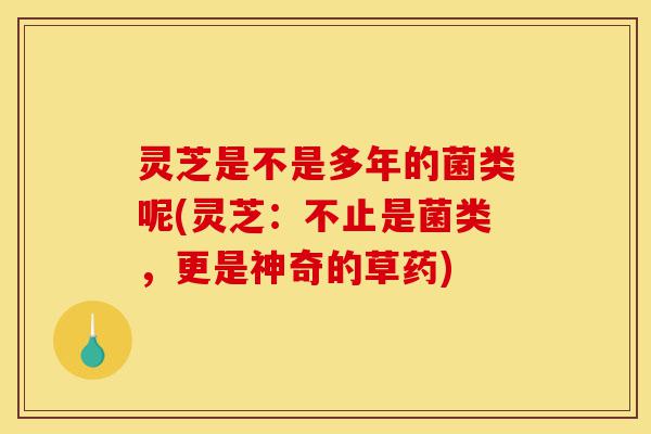 灵芝是不是多年的菌类呢(灵芝:不止是菌类,更是神奇的草药)-第1张图片-灵芝之家 灵芝是不是多年的菌类呢(灵芝:不止是菌类,更是神奇的草药)-第1张图片-灵芝之家