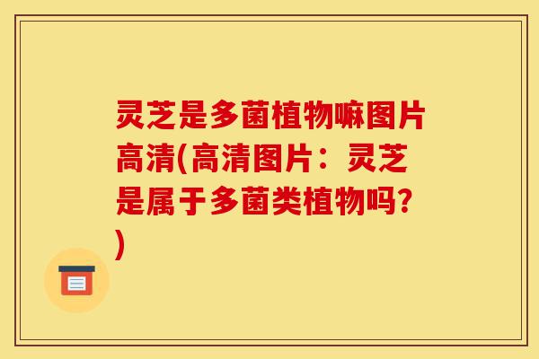 灵芝是多菌植物嘛图片高清(高清图片:灵芝是属于多菌类植物吗?)-第1张图片-灵芝之家 灵芝是多菌植物嘛图片高清(高清图片:灵芝是属于多菌类植物吗?)-第1张图片-灵芝之家