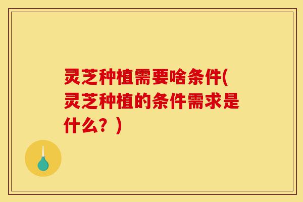灵芝种植需要啥条件(灵芝种植的条件需求是什么？)-第1张图片-灵芝之家