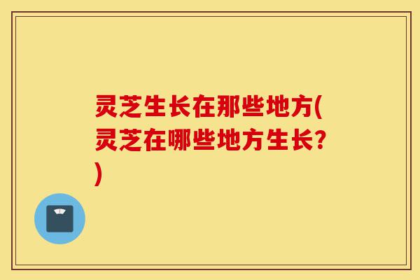 灵芝生长在那些地方(灵芝在哪些地方生长?)-第1张图片-灵芝之家 灵芝生长在那些地方(灵芝在哪些地方生长?)-第1张图片-灵芝之家