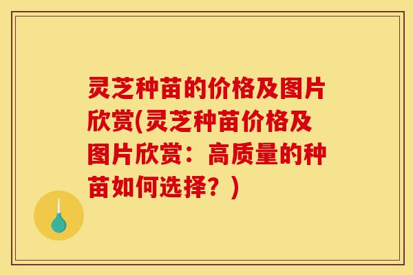 灵芝种苗的价格及图片欣赏(灵芝种苗价格及图片欣赏:高质量的种苗如何选择?)-第1张图片-灵芝之家 灵芝种苗的价格及图片欣赏(灵芝种苗价格及图片欣赏:高质量的种苗如何选择?)-第1张图片-灵芝之家