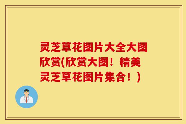 灵芝草花图片大全大图欣赏(欣赏大图!精美灵芝草花图片集合!)-第1张图片-灵芝之家 灵芝草花图片大全大图欣赏(欣赏大图!精美灵芝草花图片集合!)-第1张图片-灵芝之家