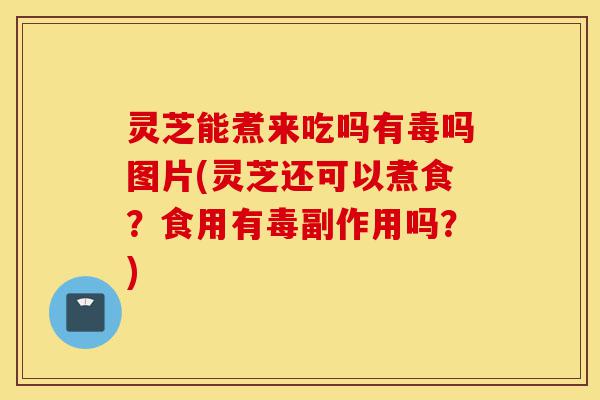 灵芝能煮来吃吗有毒吗图片(灵芝还可以煮食?食用有毒副作用吗?)-第1张图片-灵芝之家 灵芝能煮来吃吗有毒吗图片(灵芝还可以煮食?食用有毒副作用吗?)-第1张图片-灵芝之家