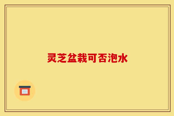灵芝盆栽可否泡水-第1张图片-灵芝之家