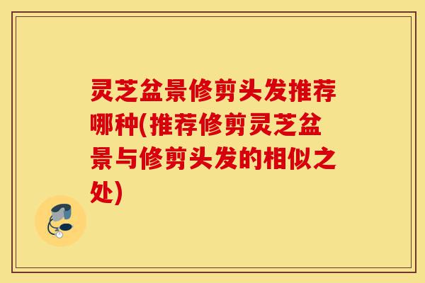 灵芝盆景修剪头发推荐哪种(推荐修剪灵芝盆景与修剪头发的相似之处)-第1张图片-灵芝之家