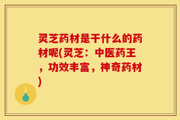 灵芝药材是干什么的药材呢(灵芝:中医药王,功效丰富,神奇药材)-第1张图片-灵芝之家 灵芝药材是干什么的药材呢(灵芝:中医药王,功效丰富,神奇药材)-第1张图片-灵芝之家