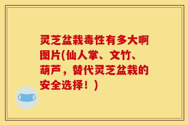 灵芝盆栽毒性有多大啊图片(仙人掌、文竹、葫芦,替代灵芝盆栽的安全选择!)-第1张图片-灵芝之家 灵芝盆栽毒性有多大啊图片(仙人掌、文竹、葫芦,替代灵芝盆栽的安全选择!)-第1张图片-灵芝之家