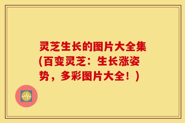 灵芝生长的图片大全集(百变灵芝:生长涨姿势,多彩图片大全!)-第1张图片-灵芝之家 灵芝生长的图片大全集(百变灵芝:生长涨姿势,多彩图片大全!)-第1张图片-灵芝之家