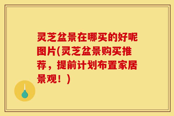 灵芝盆景在哪买的好呢图片(灵芝盆景购买推荐,提前计划布置家居景观!)-第1张图片-灵芝之家 灵芝盆景在哪买的好呢图片(灵芝盆景购买推荐,提前计划布置家居景观!)-第1张图片-灵芝之家