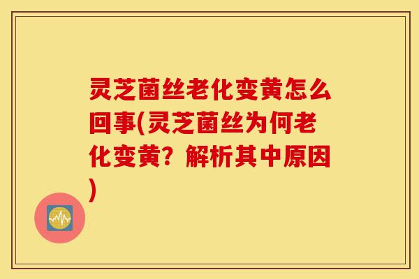 灵芝菌丝老化变黄怎么回事(灵芝菌丝为何老化变黄?解析其中原因)-第1张图片-灵芝之家 灵芝菌丝老化变黄怎么回事(灵芝菌丝为何老化变黄?解析其中原因)-第1张图片-灵芝之家