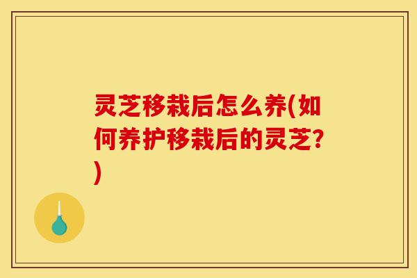 灵芝移栽后怎么养(如何养护移栽后的灵芝?)-第1张图片-灵芝之家 灵芝移栽后怎么养(如何养护移栽后的灵芝?)-第1张图片-灵芝之家