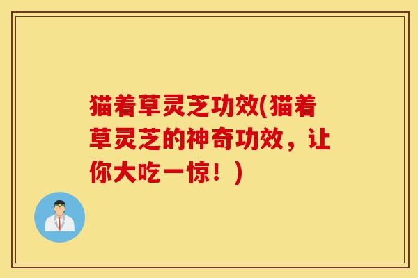 猫着草灵芝功效(猫着草灵芝的神奇功效，让你大吃一惊！)-第1张图片-灵芝之家
