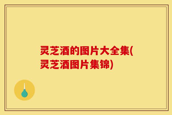 灵芝酒的图片大全集(灵芝酒图片集锦)-第1张图片-灵芝之家