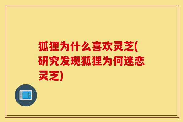 狐狸为什么喜欢灵芝(研究发现狐狸为何迷恋灵芝)-第1张图片-灵芝之家 狐狸为什么喜欢灵芝(研究发现狐狸为何迷恋灵芝)-第1张图片-灵芝之家