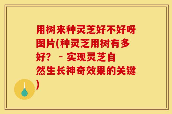 用树来种灵芝好不好呀图片(种灵芝用树有多好? - 实现灵芝自然生长神奇效果的关键)-第1张图片-灵芝之家 用树来种灵芝好不好呀图片(种灵芝用树有多好? - 实现灵芝自然生长神奇效果的关键)-第1张图片-灵芝之家