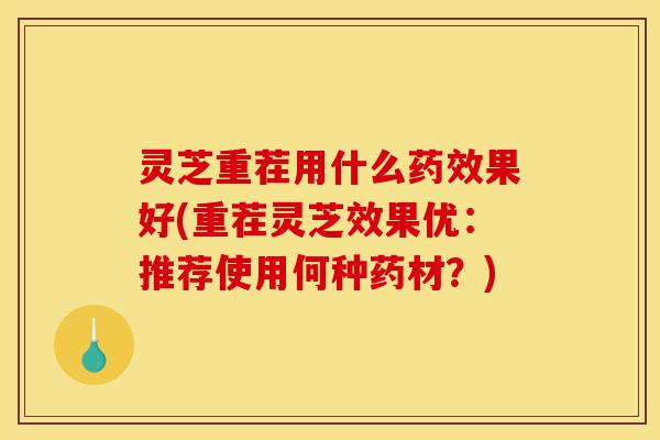 灵芝重茬用什么药效果好(重茬灵芝效果优:推荐使用何种药材?)-第1张图片-灵芝之家 灵芝重茬用什么药效果好(重茬灵芝效果优:推荐使用何种药材?)-第1张图片-灵芝之家