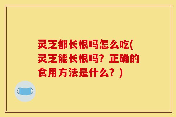 灵芝都长根吗怎么吃(灵芝能长根吗?正确的食用方法是什么?)-第1张图片-灵芝之家 灵芝都长根吗怎么吃(灵芝能长根吗?正确的食用方法是什么?)-第1张图片-灵芝之家