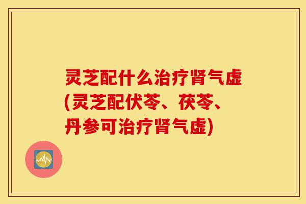 灵芝配什么治疗肾气虚(灵芝配伏苓、茯苓、丹参可治疗肾气虚)-第1张图片-灵芝之家