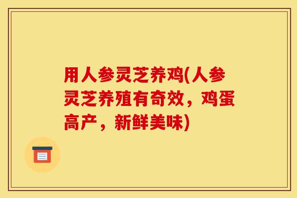 用人参灵芝养鸡(人参灵芝养殖有奇效,鸡蛋高产,新鲜美味)-第1张图片-灵芝之家 用人参灵芝养鸡(人参灵芝养殖有奇效,鸡蛋高产,新鲜美味)-第1张图片-灵芝之家