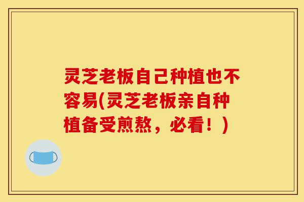 灵芝老板自己种植也不容易(灵芝老板亲自种植备受煎熬,必看!)-第1张图片-灵芝之家 灵芝老板自己种植也不容易(灵芝老板亲自种植备受煎熬,必看!)-第1张图片-灵芝之家