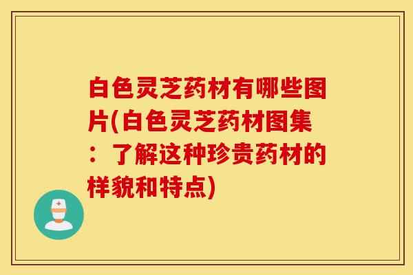 白色灵芝药材有哪些图片(白色灵芝药材图集:了解这种珍贵药材的样貌和特点)-第1张图片-灵芝之家 白色灵芝药材有哪些图片(白色灵芝药材图集:了解这种珍贵药材的样貌和特点)-第1张图片-灵芝之家