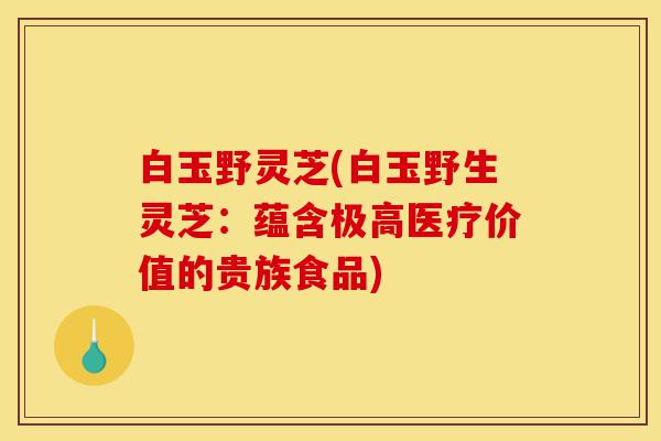 白玉野灵芝(白玉野生灵芝：蕴含极高医疗价值的贵族食品)-第1张图片-灵芝之家