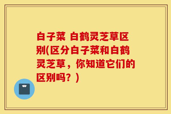 白子菜 白鹤灵芝草区别(区分白子菜和白鹤灵芝草,你知道它们的区别吗?)-第1张图片-灵芝之家 白子菜 白鹤灵芝草区别(区分白子菜和白鹤灵芝草,你知道它们的区别吗?)-第1张图片-灵芝之家