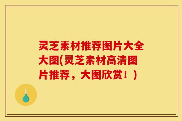 灵芝素材推荐图片大全大图(灵芝素材高清图片推荐,大图欣赏!)-第1张图片-灵芝之家 灵芝素材推荐图片大全大图(灵芝素材高清图片推荐,大图欣赏!)-第1张图片-灵芝之家