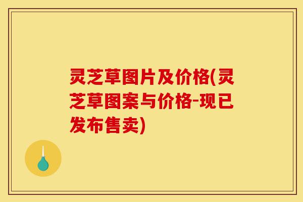 灵芝草图片及价格(灵芝草图案与价格-现已发布售卖)-第1张图片-灵芝之家 灵芝草图片及价格(灵芝草图案与价格-现已发布售卖)-第1张图片-灵芝之家