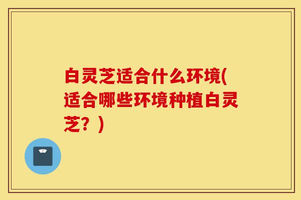 白灵芝适合什么环境(适合哪些环境种植白灵芝?)-第1张图片-灵芝之家 白灵芝适合什么环境(适合哪些环境种植白灵芝?)-第1张图片-灵芝之家