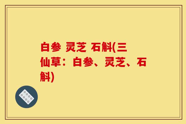 白参 灵芝 石斛(三仙草:白参、灵芝、石斛)-第1张图片-灵芝之家 白参 灵芝 石斛(三仙草:白参、灵芝、石斛)-第1张图片-灵芝之家