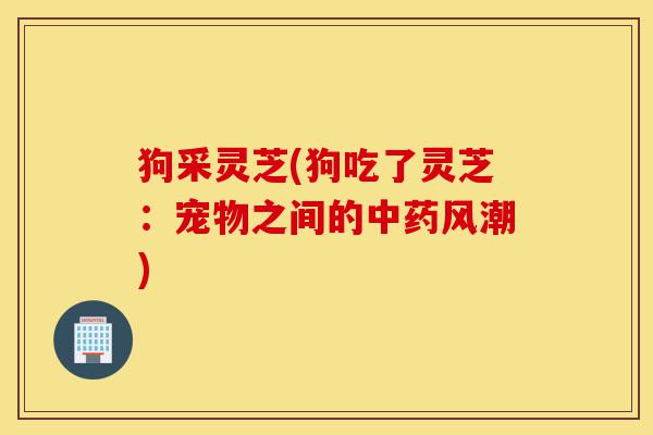 狗采灵芝(狗吃了灵芝:宠物之间的中药风潮)-第1张图片-灵芝之家 狗采灵芝(狗吃了灵芝:宠物之间的中药风潮)-第1张图片-灵芝之家