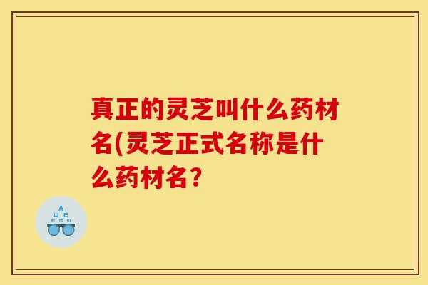 真正的灵芝叫什么药材名(灵芝正式名称是什么药材名?-第1张图片-灵芝之家 真正的灵芝叫什么药材名(灵芝正式名称是什么药材名?-第1张图片-灵芝之家
