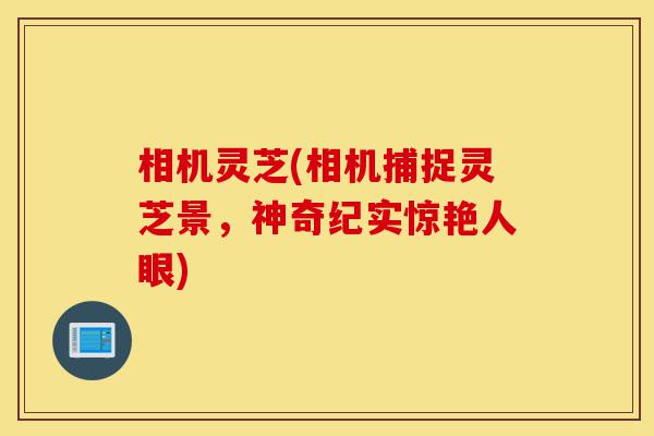 相机灵芝(相机捕捉灵芝景,神奇纪实惊艳人眼)-第1张图片-灵芝之家 相机灵芝(相机捕捉灵芝景,神奇纪实惊艳人眼)-第1张图片-灵芝之家